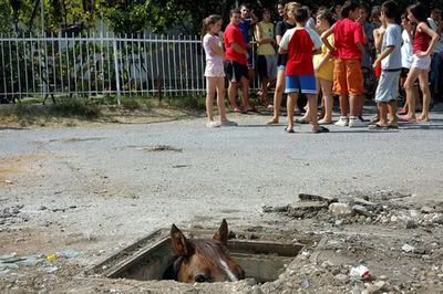 Sewer_Horse.jpg