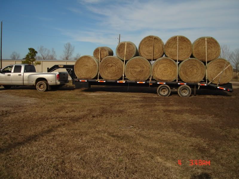 DSC00994-2.jpg