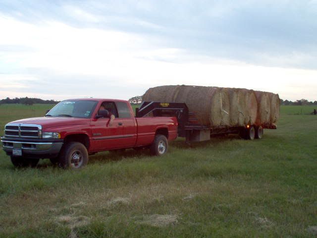 im000107-1.jpg