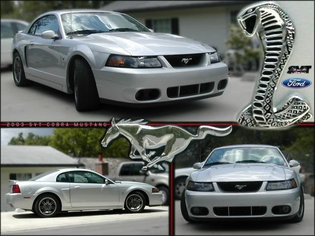 SVT_Cobra.jpg