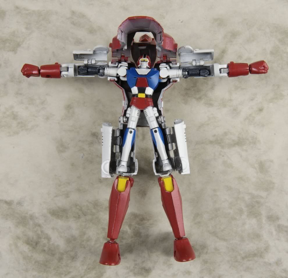 Bravegokin_gordian7_30cm_nov2009_CM.jpg