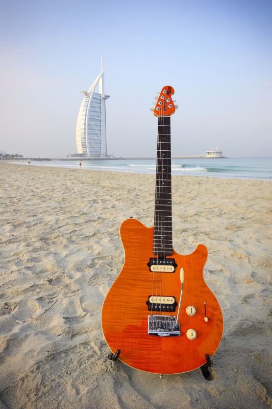 ernie_ball2_small.jpg