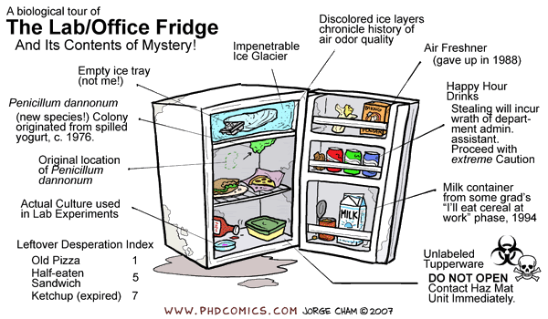 Phd Humor