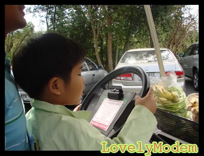 ปากแตก รคติกส์