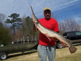 Sc State Record Longnose Gar