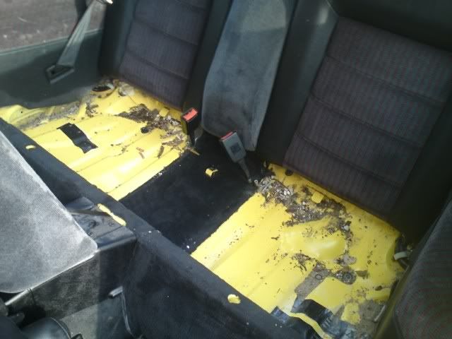 backseatbefore.jpg