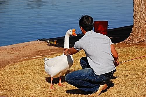 Fisherman with a goose at Sunset Park Lake Las Vegas, NV