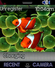 iphonefish1.png