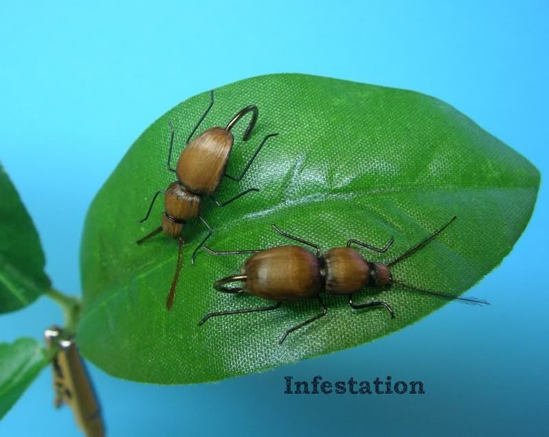 beetle-infestation.jpg