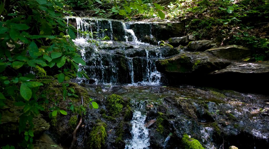 IMAGE: http://i129.photobucket.com/albums/p215/golfkid17/Park/_DSC2946.jpg