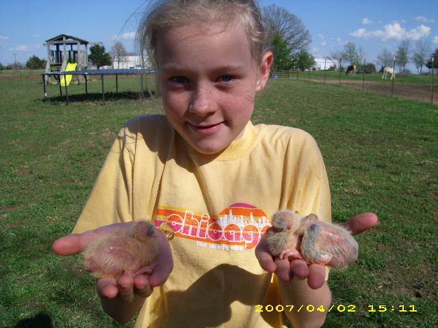 Emily with baby pigeons