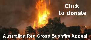 Red Cross Bushfire Appeal