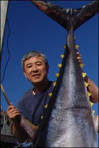 Royal Star regular, Gary Sato, headlines the lineup with a 256-pounder