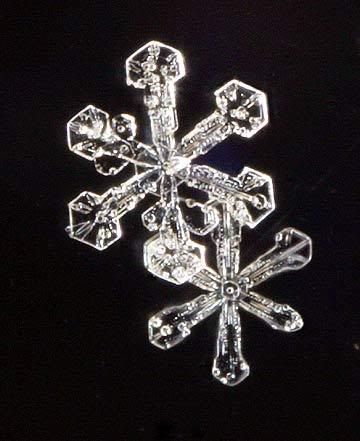 snowflake_8347a.jpg