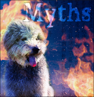Myths Hard To Handle