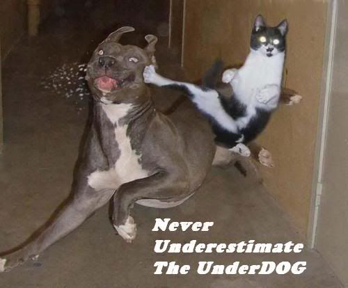 underdoggl21.jpg