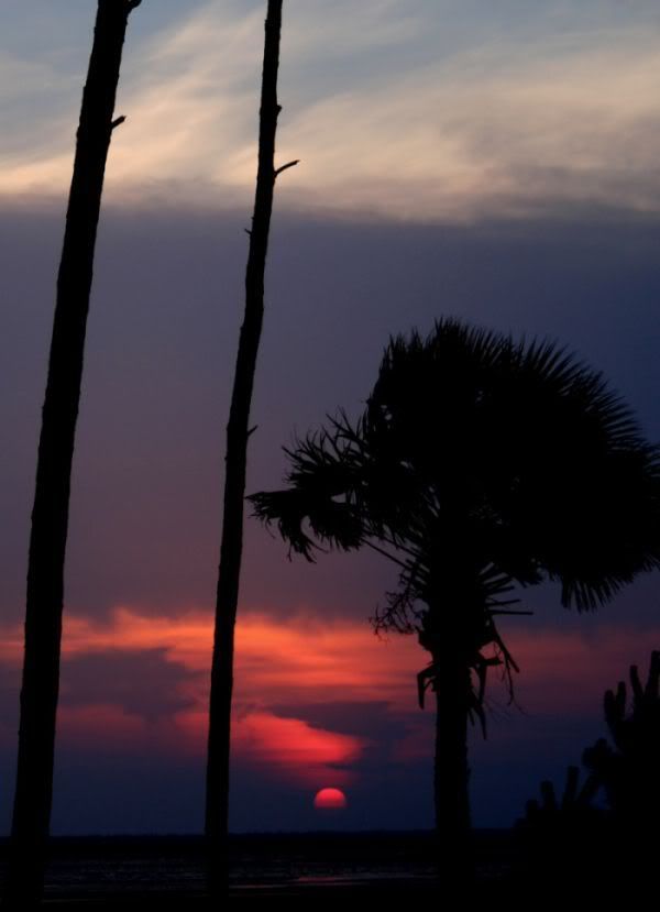 IMAGE: http://i129.photobucket.com/albums/p223/shadyhugs/stjoe_sunset.jpg