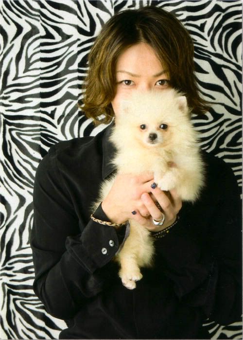 图片点击可在新窗口打开查看