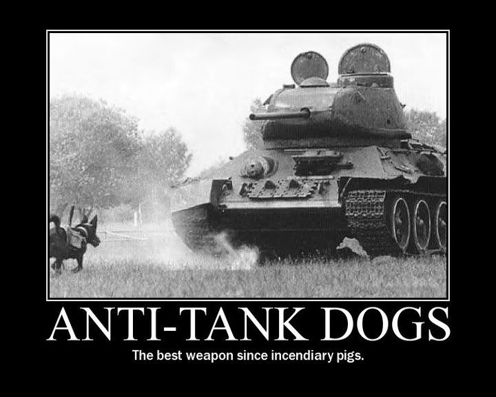tankdog.jpg