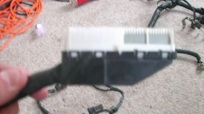 98 rb25det s2 wiring help - Nissan Forum | Nissan Forums
