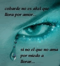 cobarde.gif image by irisruby