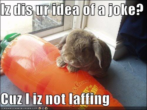 funny-pictures-rabbit-is-not-pleased-with-your-fake-carrot.jpg
