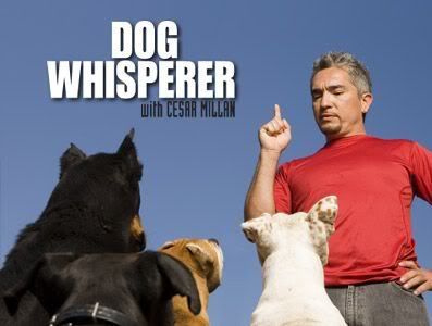 the dog whisperer photo: Dog Whisperer cesarmillan2.jpg