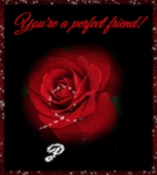th000aevolutionPerfectRedRose.gif Perfect red rose image by Prettylegs