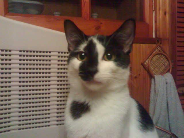 user posted image