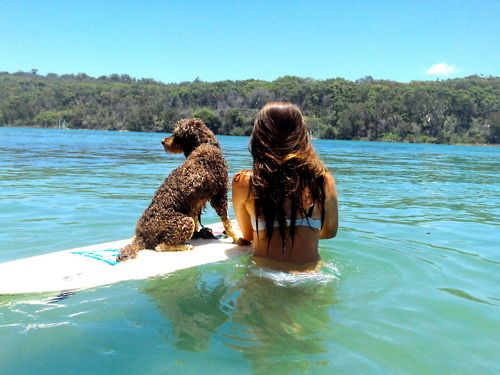 photo StyleSaveUs-Style-Summer-dog-surf-paddleboard-vacation-1.jpeg