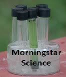 Morningstar Science