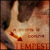 » .|Tempest Avatar