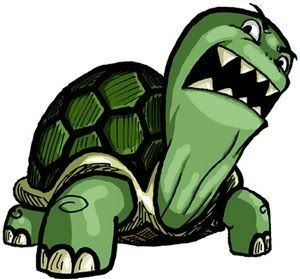 Angry_Turtle.jpg