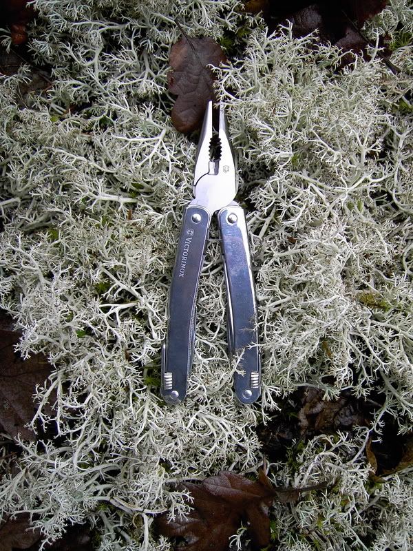 [Linked Image from i129.photobucket.com]
