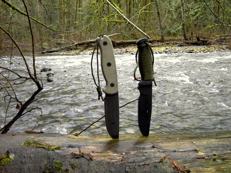 [Linked Image from i129.photobucket.com]
