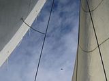 siska-sail_airplane.jpg