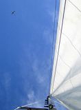 siska-sail_airplane_.jpg