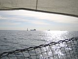 siska-sail_boats.jpg