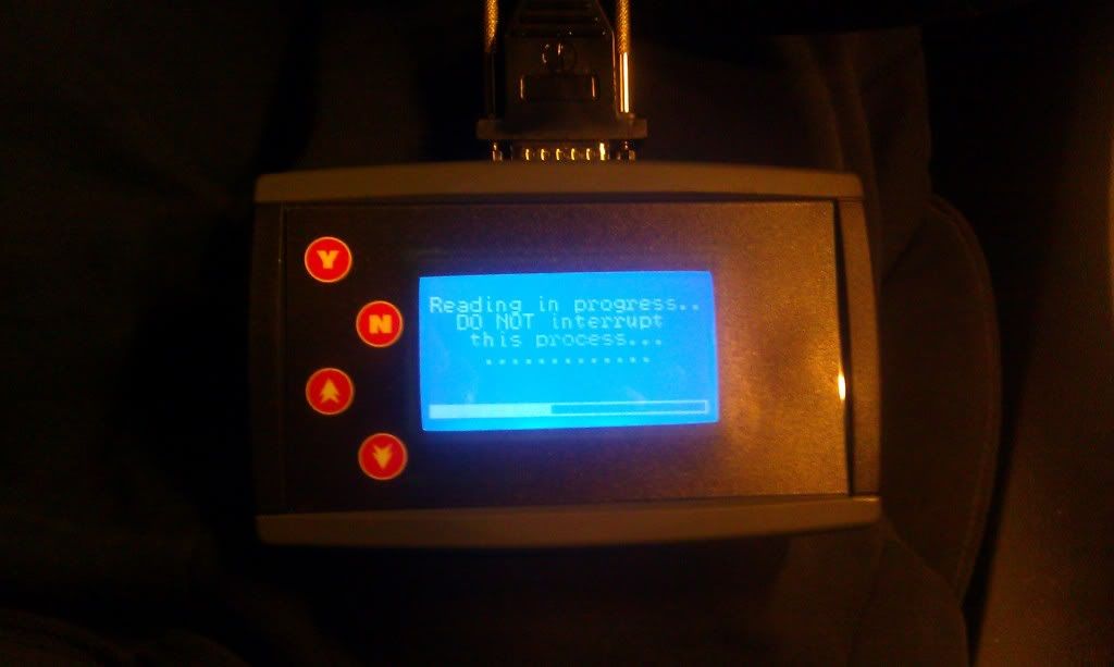 IMAG0264.jpg