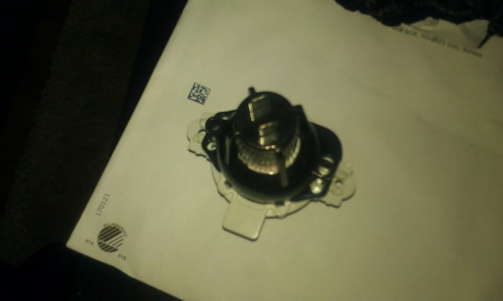 IMAG0272.jpg