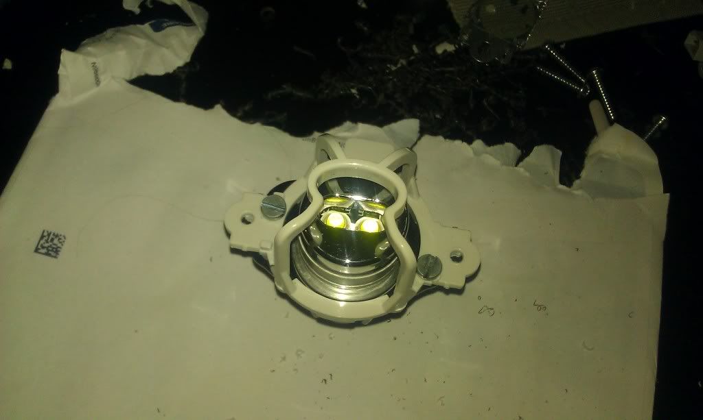 IMAG0274.jpg