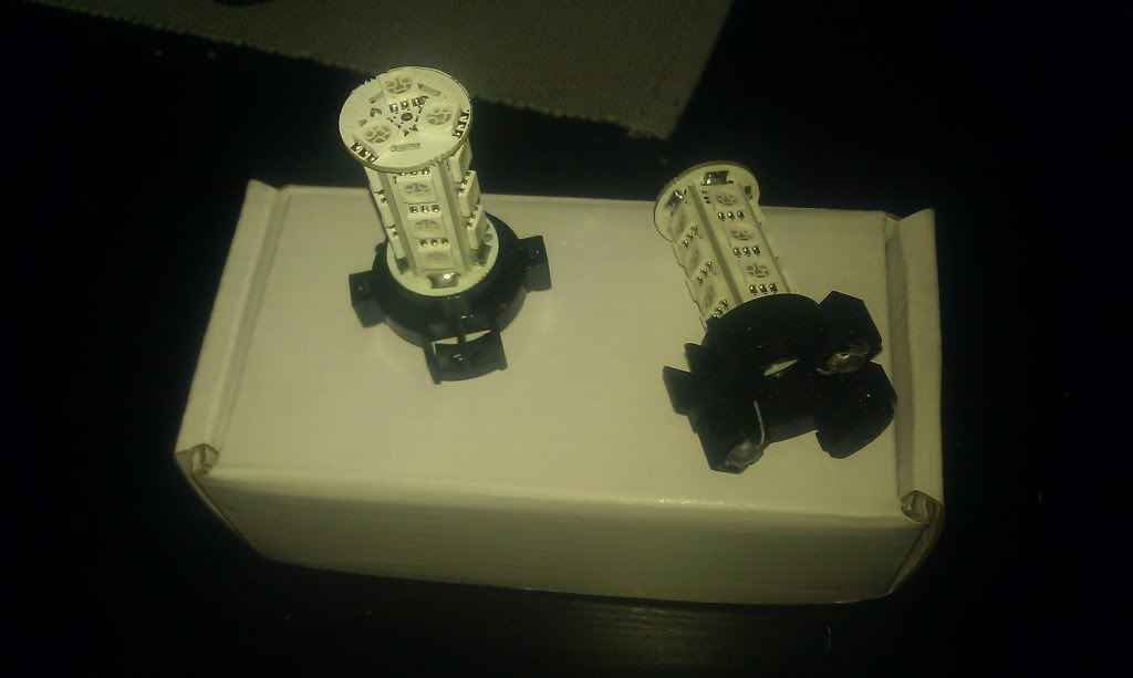 IMAG0295.jpg