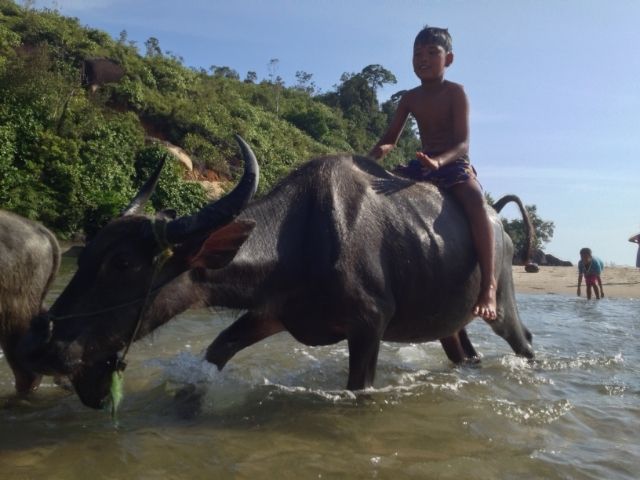  photo 0ec722ff-eb51-43a1-a76d-2637700964bf.jpg