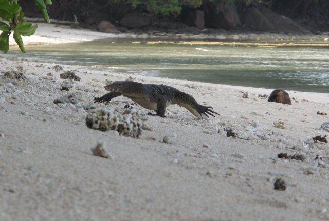 photo IMG_0121-1.jpg