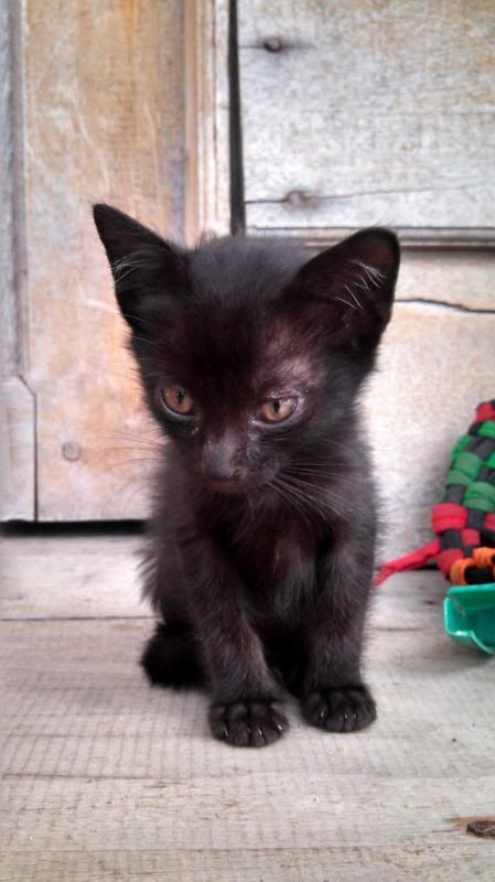 photo IMG_20140124_090429_244.jpg