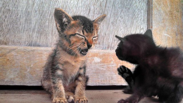 photo IMG_20140124_090706_888.jpg