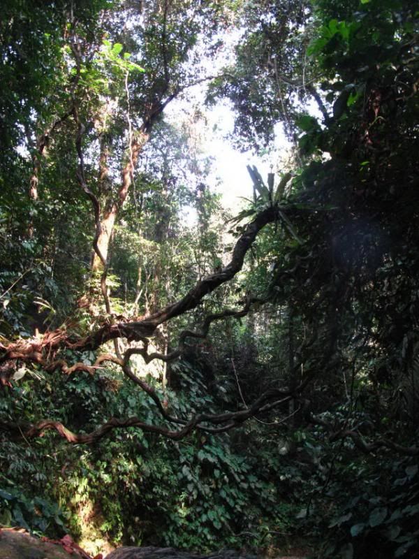 photo IMG_0246-1.jpg