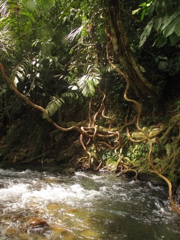 photo IMG_0344-1.jpg