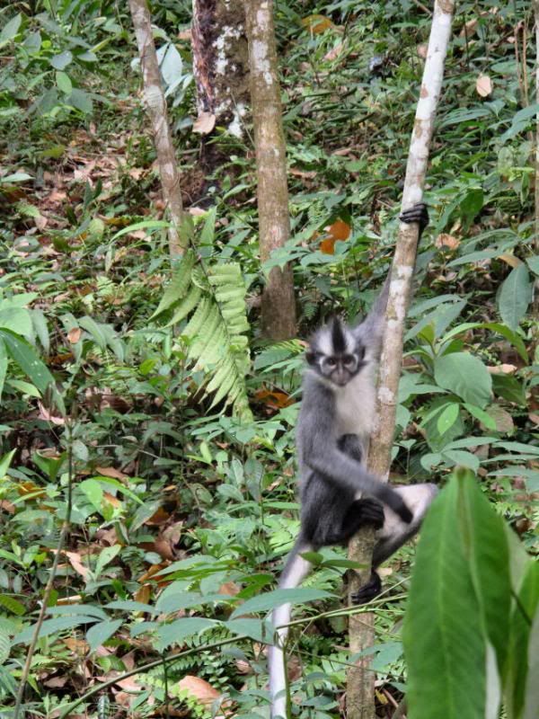 photo IMG_0420-1.jpg