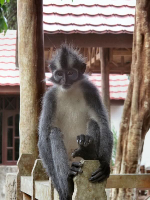 photo IMG_0462-1.jpg